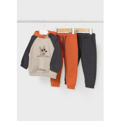 Chándal sudadera capucha y...